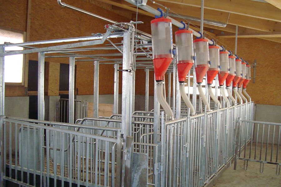 Volumendosierer der Trockenfütterung Dryfeed im Schweinestall