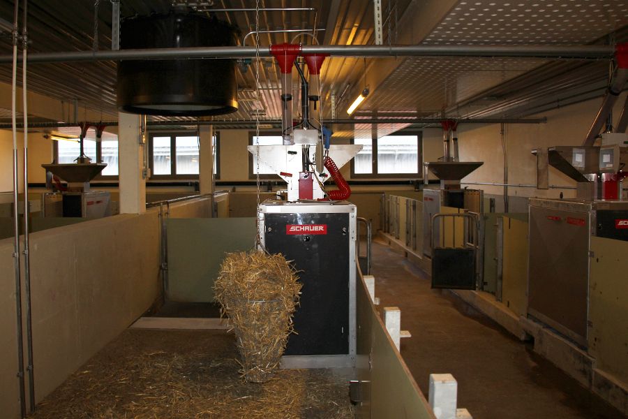 Stall MLP Mastleistungsprüfung mit Compident Abruffütterung